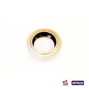 Simering pentru Massey Ferguson, cod 1077452M1
