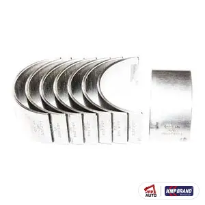 Set cuzineți bielă O/S .030 pentru Case IH, cod 15010022C