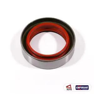 Simering interior punte spate pentru Massey Ferguson, cod 1860954M1