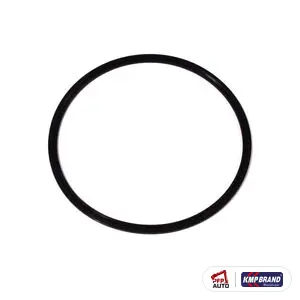 Simering IPTO pentru Massey Ferguson, cod 1870859M1