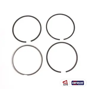 Set segmenți (110 mm) 4 Segmenți pentru Fiat, cod 1901481