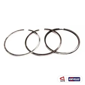 Set segmenți 100 mm pentru Fiat, cod 1908737