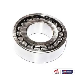 Rulment pinion (cu role) pentru Massey Ferguson, cod 191250M1