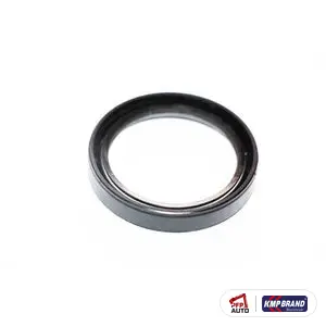 Simering pentru Massey Ferguson, cod 195503M1