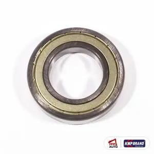 Rulment pentru Massey Ferguson, cod 195507M1
