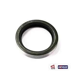 Simering interior punte spate pentru Massey Ferguson, cod 195678M1
