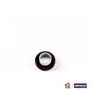 Simering pentru Cummins®, cod 3019600
