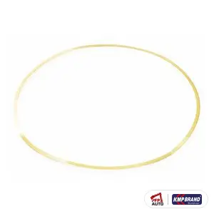 Lamelă de reglaj cămașă .008 in pentru Cummins®, cod 3019956