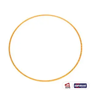 Lamelă de reglaj cămașă .020 pentru Cummins®, cod 3054948