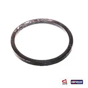 Simering pentru Cummins®, cod 3080769