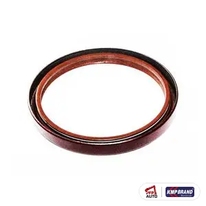 Simering palier spate pentru Case IH, cod 3138701R91