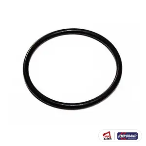 Interior Simering pentru Ford New Holland, cod 373227S