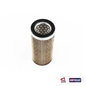 Element filtrant pentru Massey Ferguson, cod 3800305M91