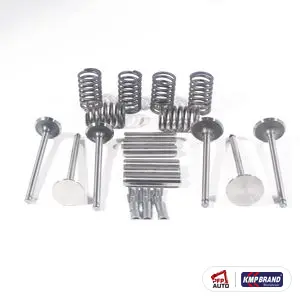 Kit sistem supape, unghi supapă 45, pentru Massey Ferguson, cod 4224157M91