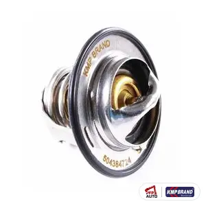 Termostat 81 °C pentru FPT, cod 504384724