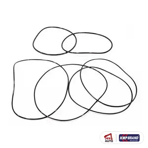 Kit de etanșare piston expandabil pentru Case IH, cod 539535R91