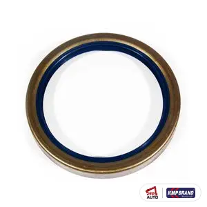 Simering butuc (80-100-12) pentru Massey Ferguson, cod 6208335M1