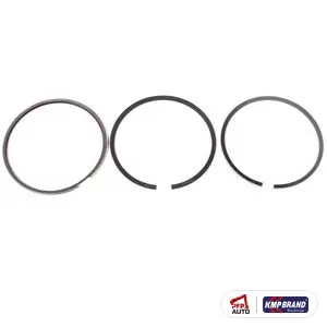 Set segmenți piston pentru FPT, cod 87316211