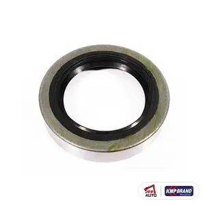 Simering pentru Massey Ferguson, cod 890640M1