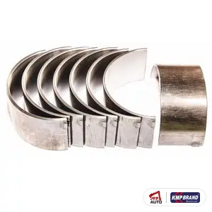 Set cuzineți bielă STD (4CYL) pentru Ford New Holland, cod DFPN6211A