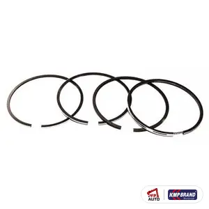 Set segmenți pentru Ford New Holland, cod DJPN6149S