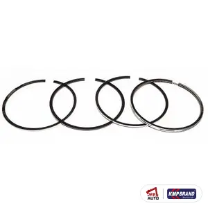 Set segmenți piston STD (4 segmenți) pentru Ford New Holland, cod DJPN6149W