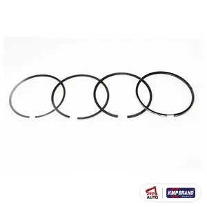 Set segmenți piston .020 (4 segmenți) pentru Ford New Holland, cod DJPN6149X