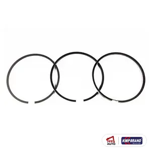 Set segmenți pentru Ford New Holland, cod F3NN6149AA